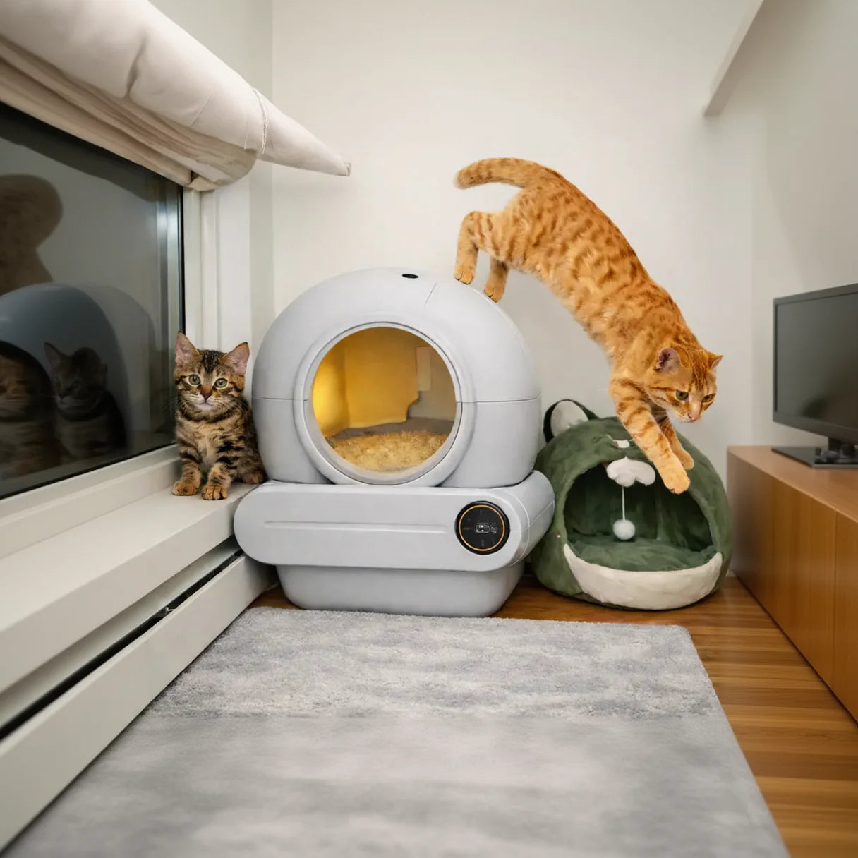 Litière automatique