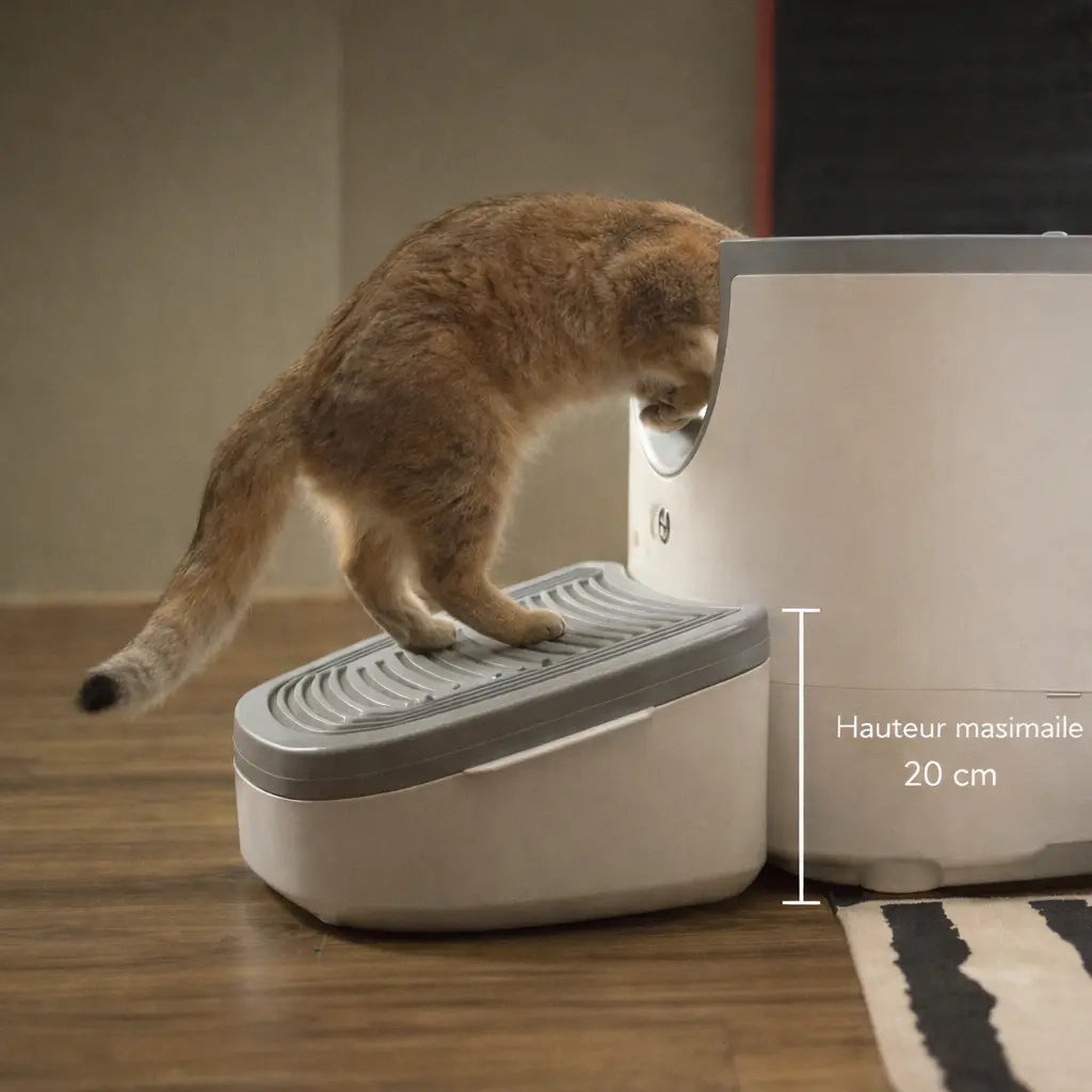 chat qui rentre dans une litière grâce a la rampe 