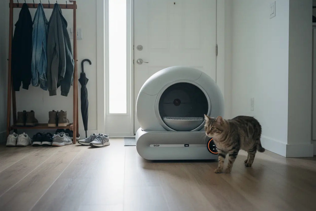 Litière Automatique pour Chat Connectée | Auto-Nettoyante & Aide à Limiter les Odeurs