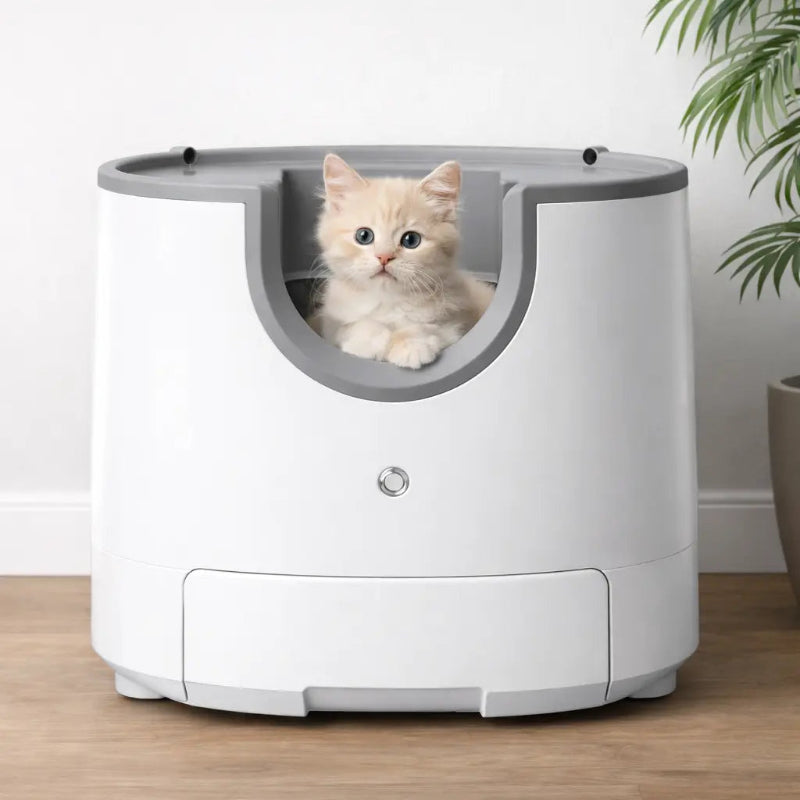 litière auto nettoyante avec chat dedans