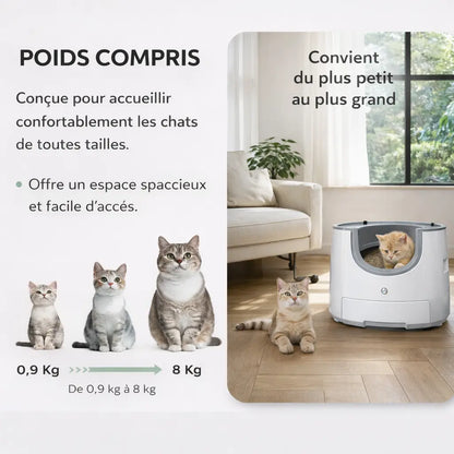 Litière Auto nettoyante